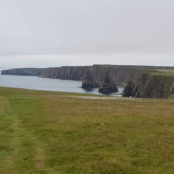 Highlands Scozzesi (Duncansby Head)