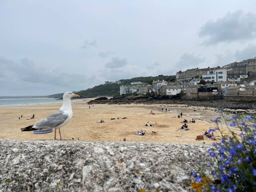 spiaggia st ives